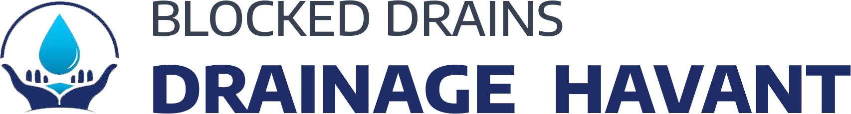 website logo